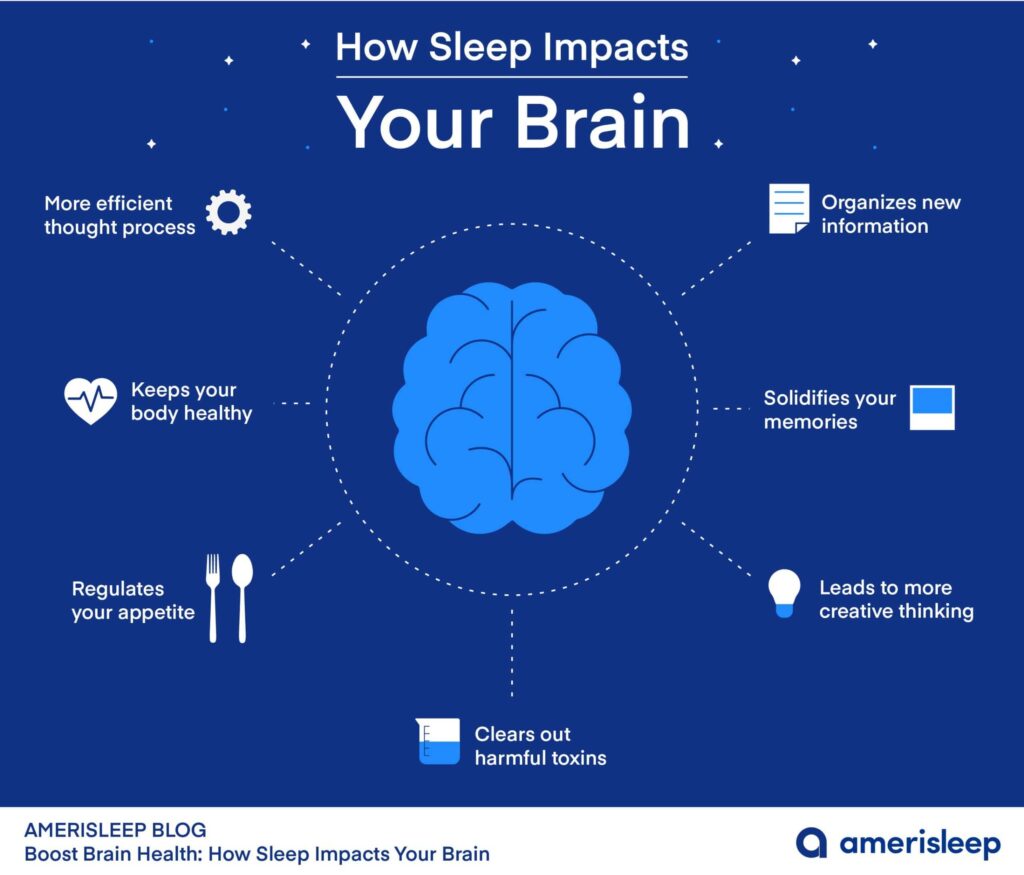sleep and the brain